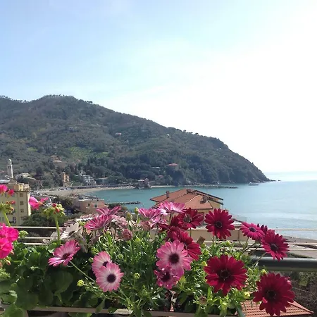 Calipso * Levanto