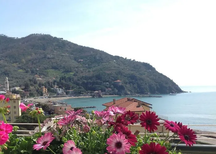 Calipso * Levanto